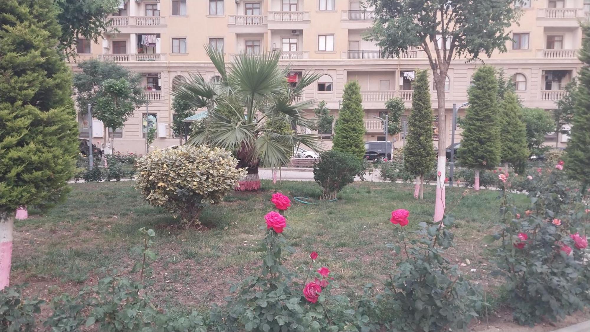 Apartmán Banu House Sumqayıt Exteriér fotografie