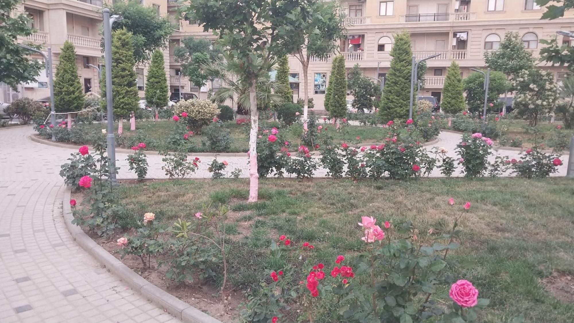 Apartmán Banu House Sumqayıt Exteriér fotografie